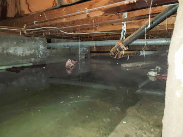 Best 24/7 water damage repair  in Iroquois Point, HI