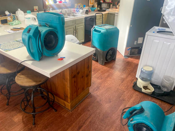 Best Water damage restoration near me  in Iroquois Point, HI
