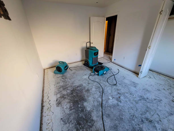 Reliable HI Water damage restoration Solutions