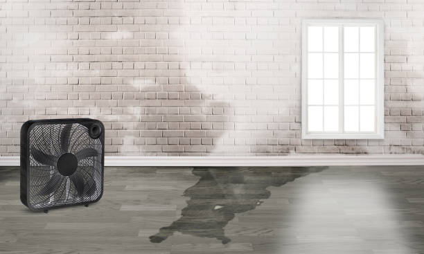 Best Emergency water damage restoration  in Iroquois Point, HI