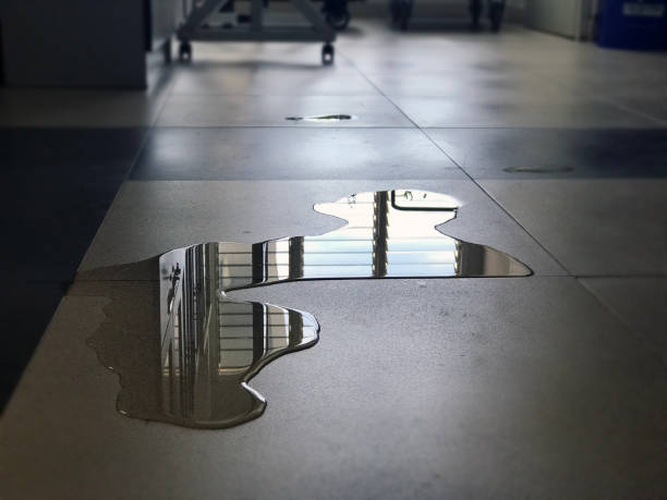 Reliable HI Water damage restoration Solutions