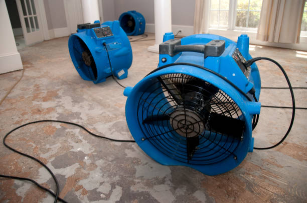  Iroquois Point, HI Water damage restoration Pros