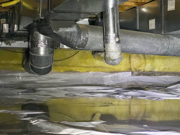 Best Water damage cleanup near me  in Iroquois Point, HI