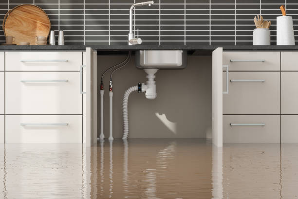 Best Residential water damage restoration  in Iroquois Point, HI