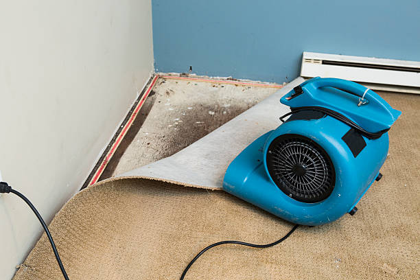 Best Water damage restoration near me  in Iroquois Point, HI